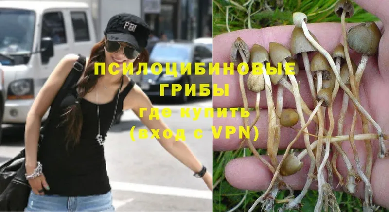 Галлюциногенные грибы MAGIC MUSHROOMS  omg вход  Солигалич 